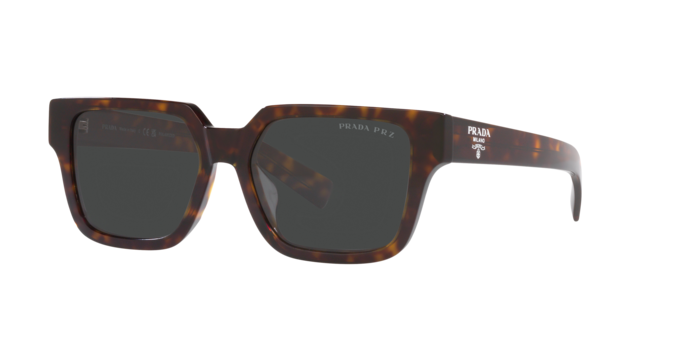 Prada | 03ZS | Havana Polarised