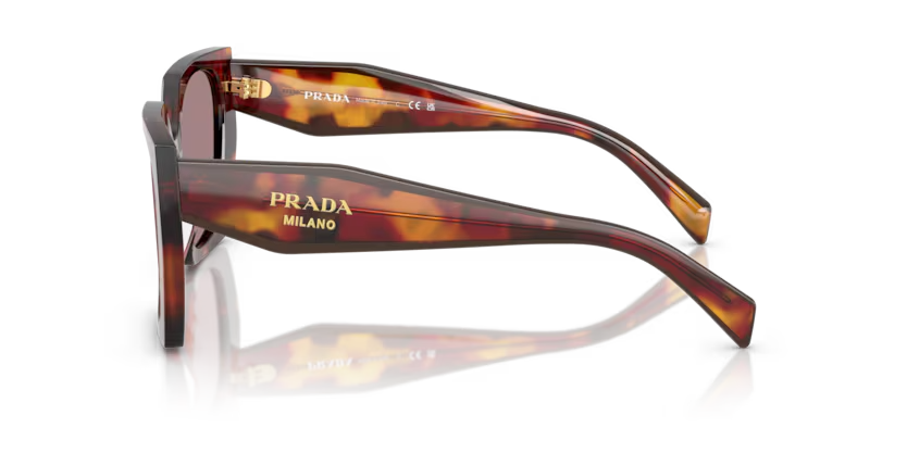 Prada | 15WS | Poppy Tortoise