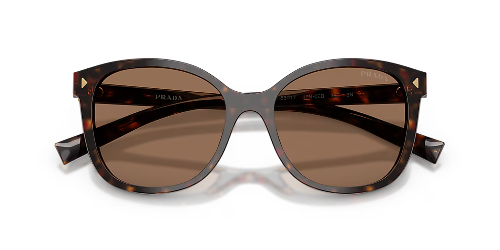 Prada | PR22ZS | Tartaruga Dark Brown