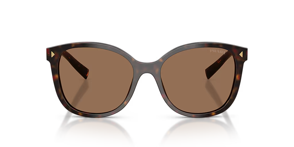 Prada | PR22ZS | Tartaruga Dark Brown