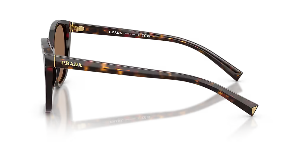 Prada | PR22ZS | Tartaruga Dark Brown