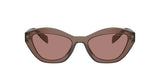 Prada | A02S | Brown Transparent