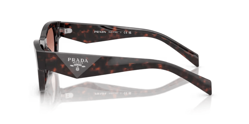 Prada | B09S M | Root tortoise - iKANDi Sunglasses