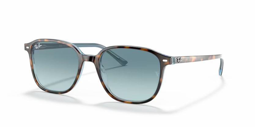 Ray-Ban | 2193 Leonard | Havana On Light Blue