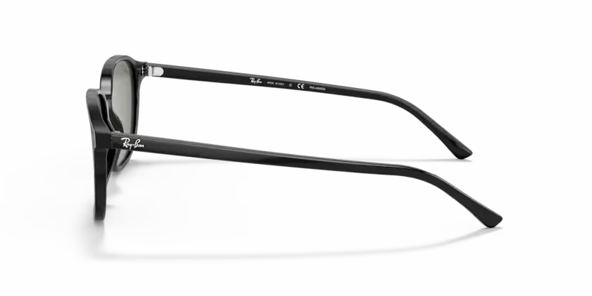 Ray-Ban | 2193 Leonard | Black
