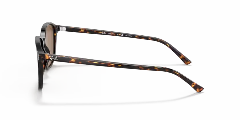 Ray-Ban | 2193 Leonard | Tortoise
