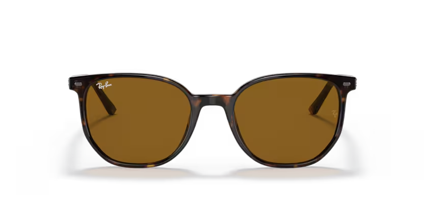 Ray-Ban | 2197 Elliot | Striped Brown & Green