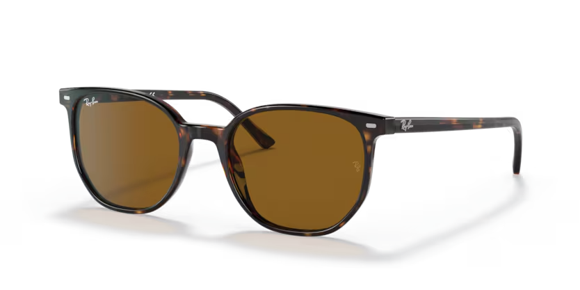 Ray-Ban | 2197 Elliot | Striped Brown & Green