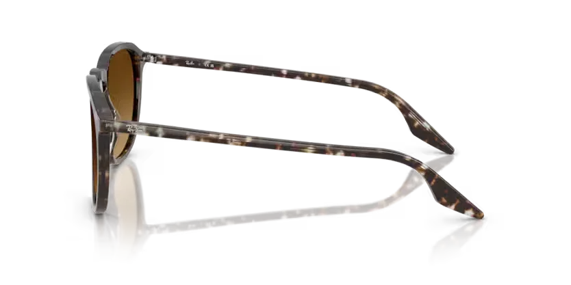 Ray-Ban | 2203 | Havana Yellow Tortoiseshell