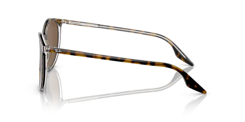 Ray-Ban | 2203 | Havana On Transparent