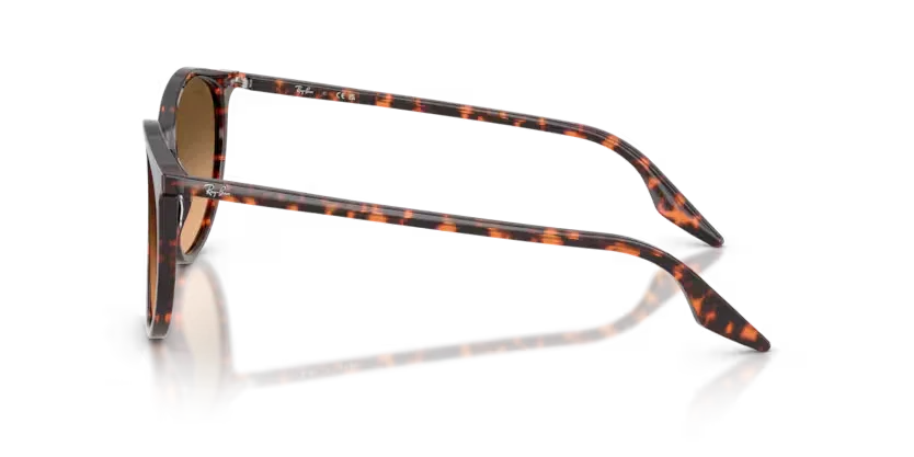 Ray-Ban | 2204 | Havana Red Tortoiseshell