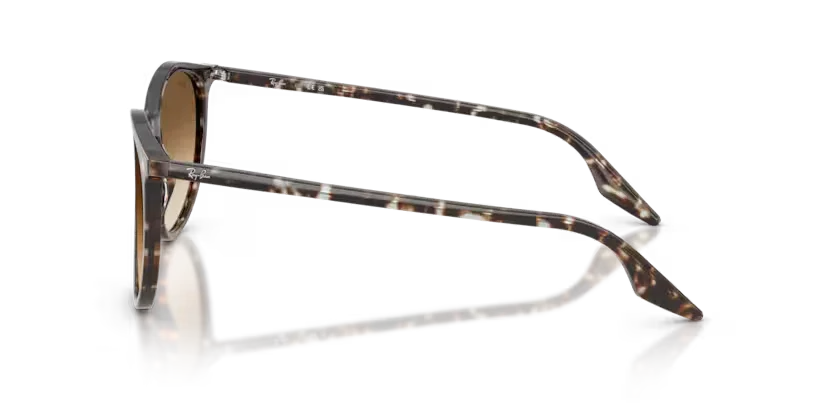 Ray-Ban | 2204 | Havana Yellow Tortoiseshell