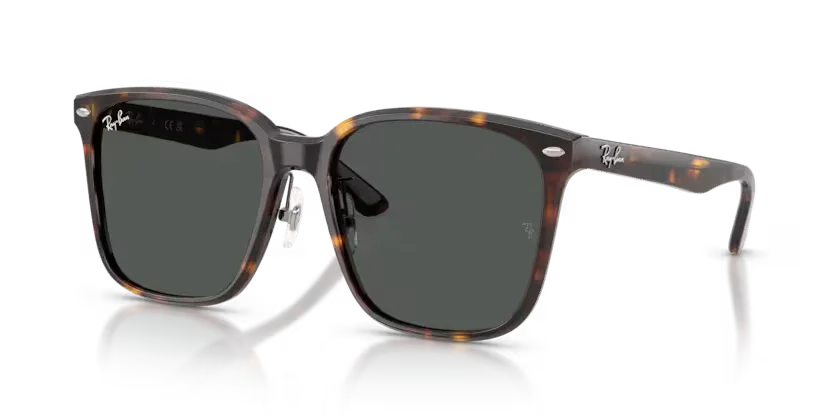 Ray-Ban | 2206D | Havana