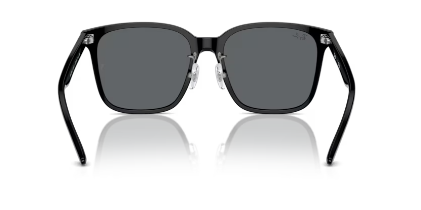 Ray-Ban | 2206D | Black