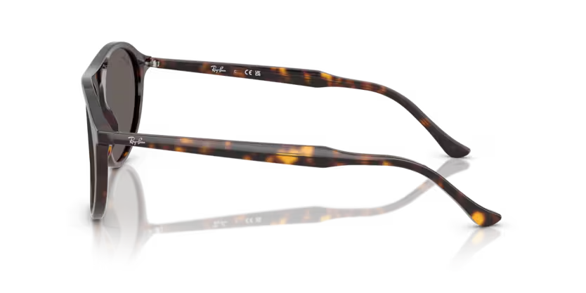 Ray-Ban | 2215 | Havana