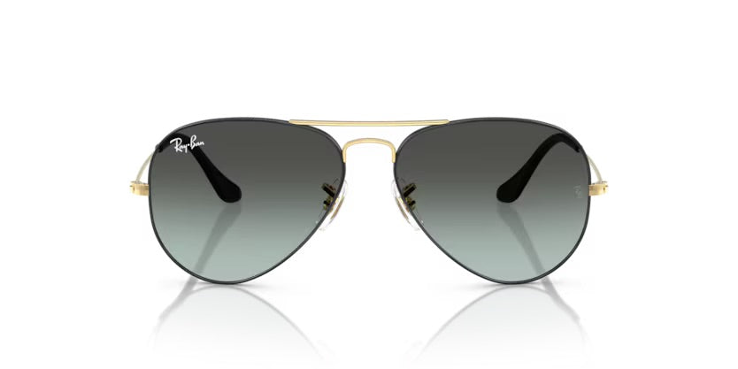 Ray-Ban | 3025 Aviator | Black on Arista