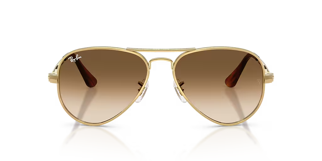 Ray-Ban | 3925 Aviator Max | Arista Gold Brown