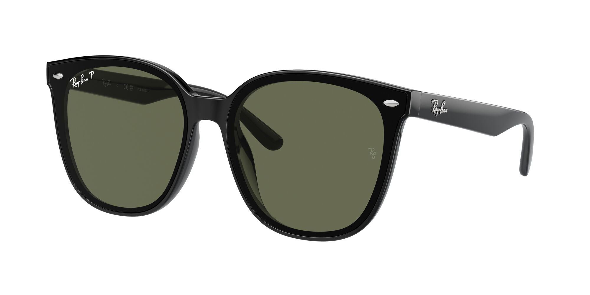 Ray-Ban | 4423D | Black Polarised