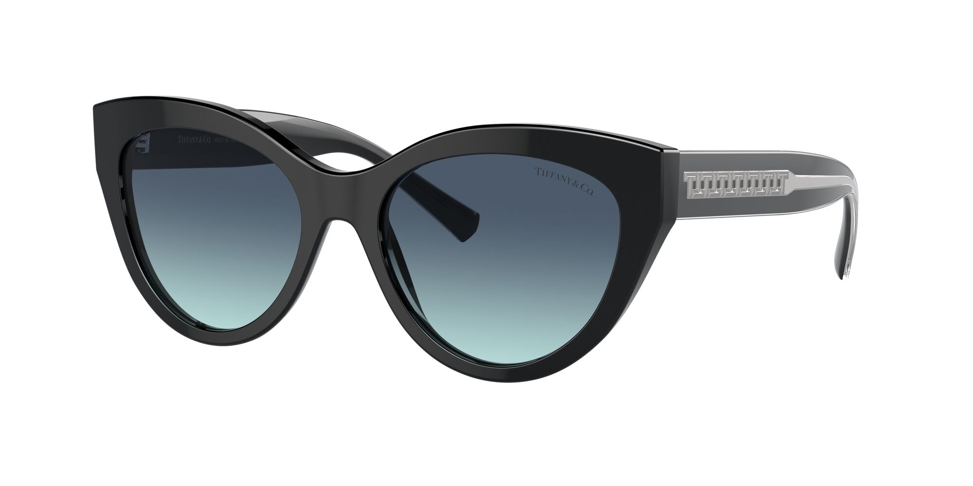 Tiffany & Co. | 4220F | Black