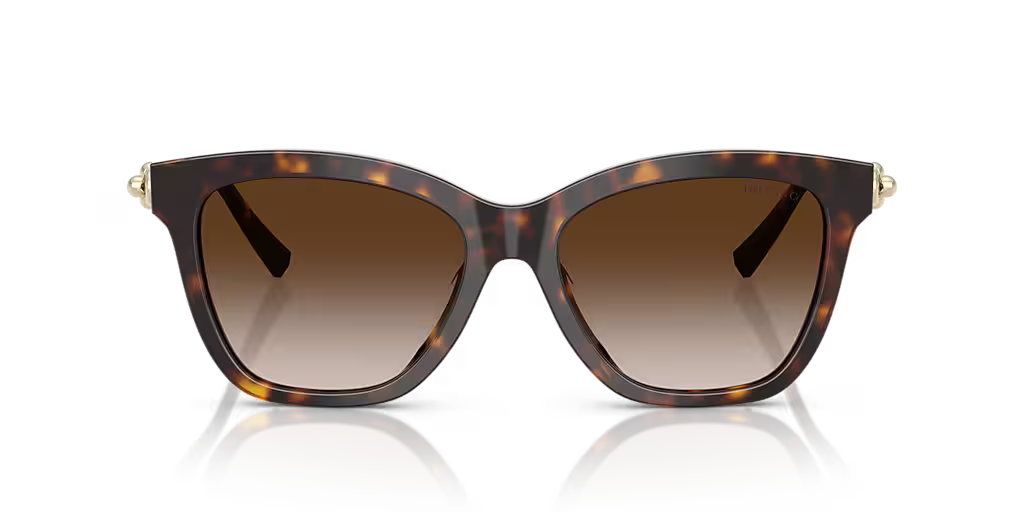 Tiffany & Co. | TF4241D | Havana