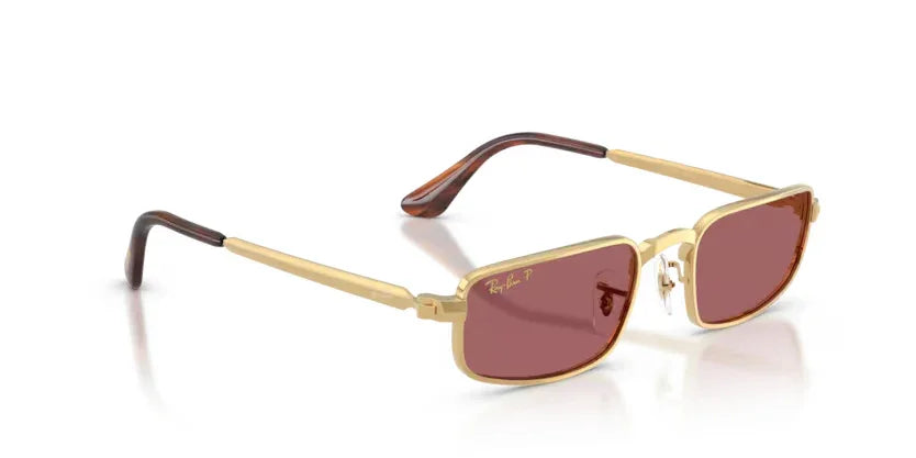 Ray-Ban | 3927 | Arista Purple Polarised