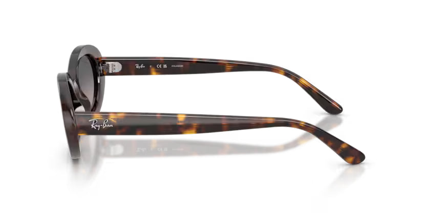 Ray-Ban | RB2223 | Havana Gradient Grey Polarised