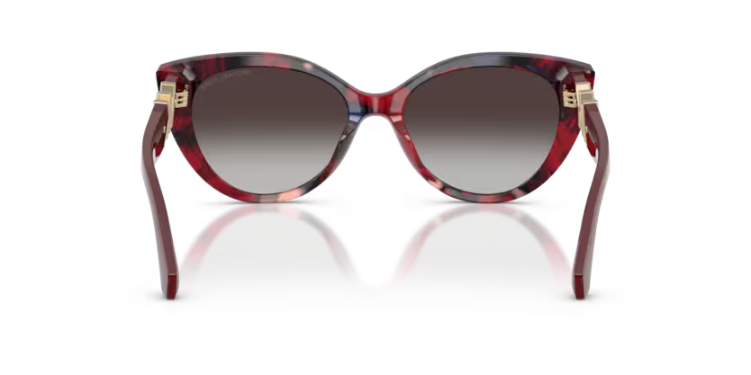 Michael Kors | MK2291U | Catalina Merlo Tortoise