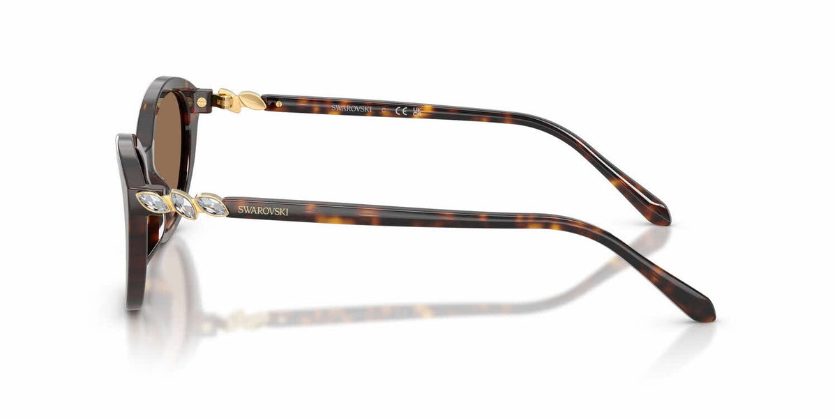 Swarovski | SK6066U | Havana