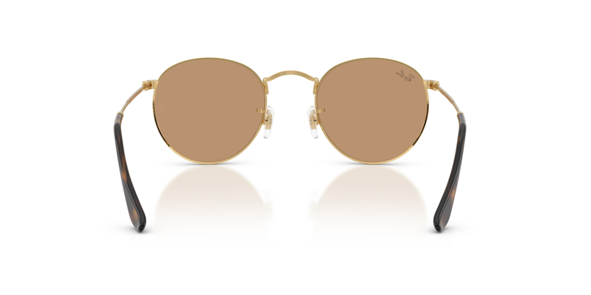 Ray-Ban | Round Metal RB3447 | Arista Brown