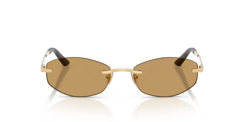 Versace | VE2308D | Gold Versace Brown