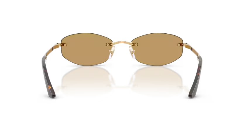 Versace | VE2308D | Gold Versace Brown