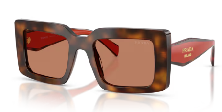 Prada | PRD01S | Juniper Tort Cotto Brown