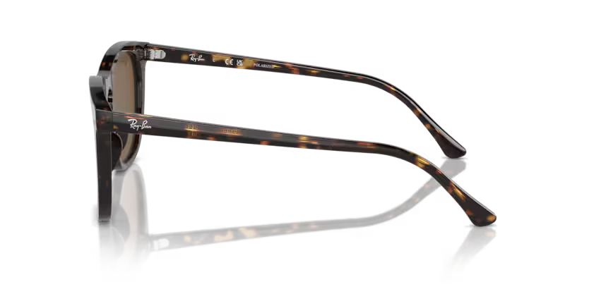 Ray-Ban | RB2210F | Havana Brown Polarised