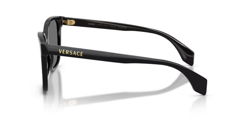 Versace | VE4523 | Black Dark Grey Polarised