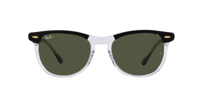 Ray-Ban | 2398 Eagleeye L | Black on Transparent