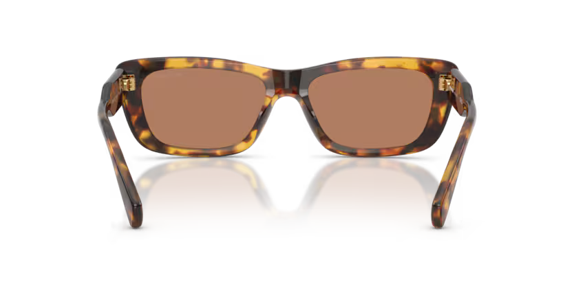 Miu Miu | B12S | Honey Havana