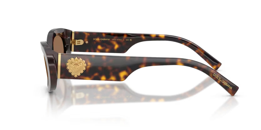 Dolce_Gabbana_4537_Havana_5