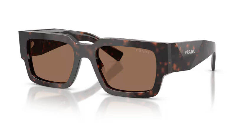 Prada_B17SF_Root_Tortoise_1