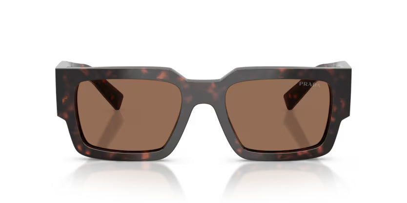 Prada_B17SF_Root_Tortoise_2