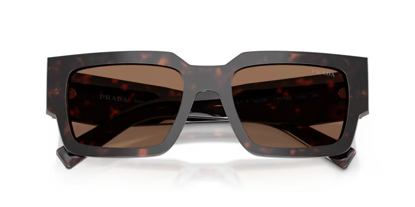 Prada_B17SF_Root_Tortoise_3
