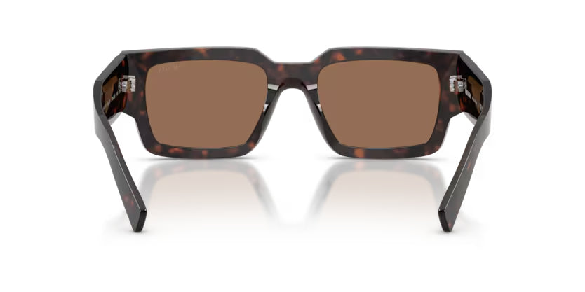 Prada_B17SF_Root_Tortoise_4