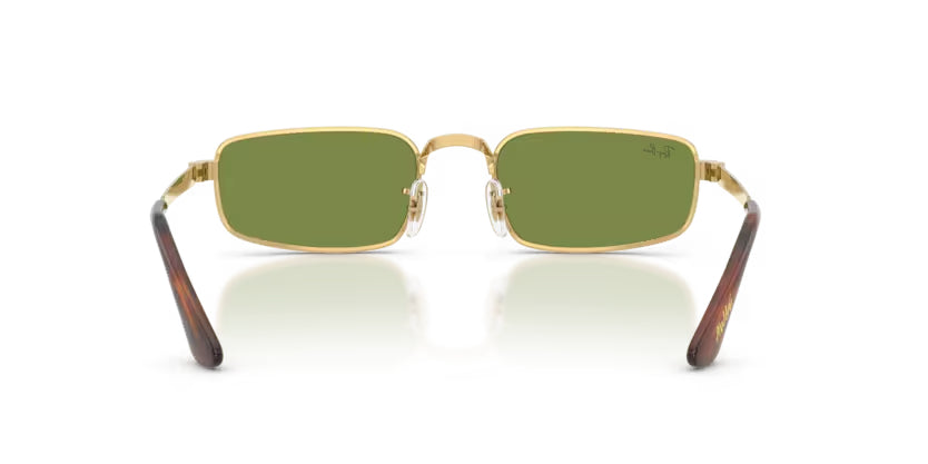 Ray-Ban_RB3927_Arista_Green_4