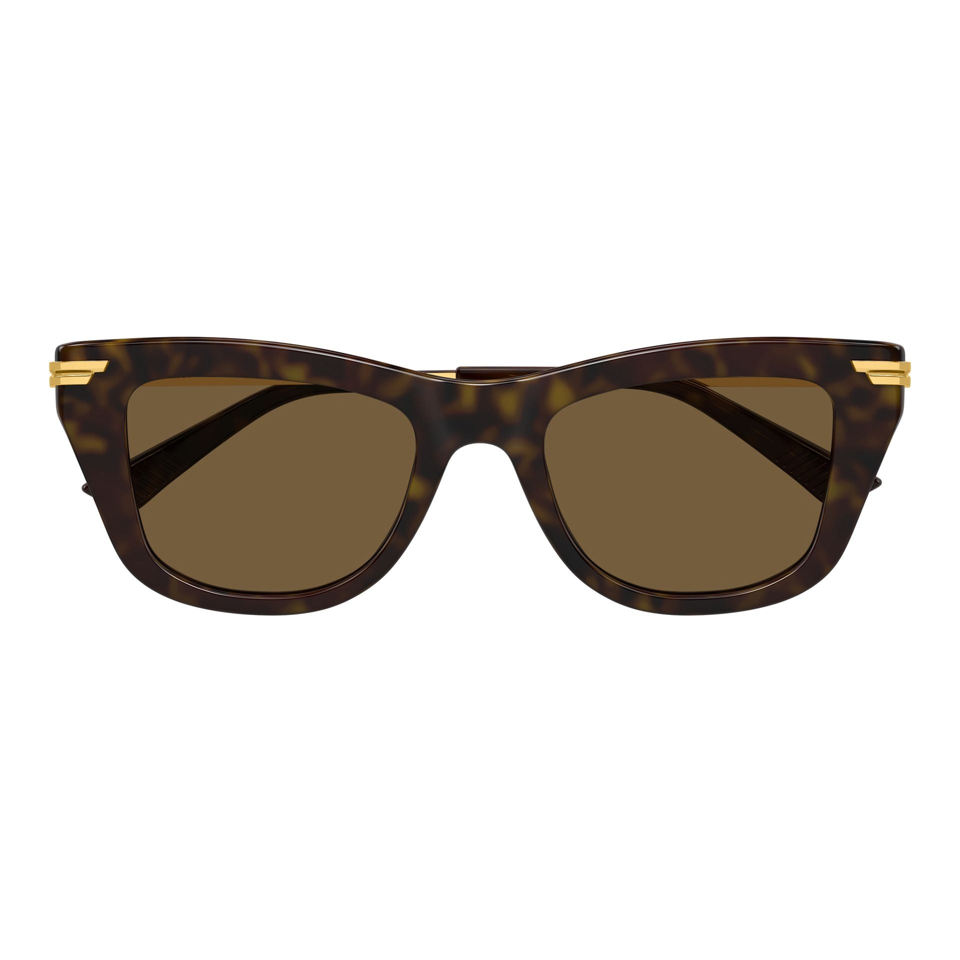Bottega Veneta | BV1369S |  Havana Gold Brown