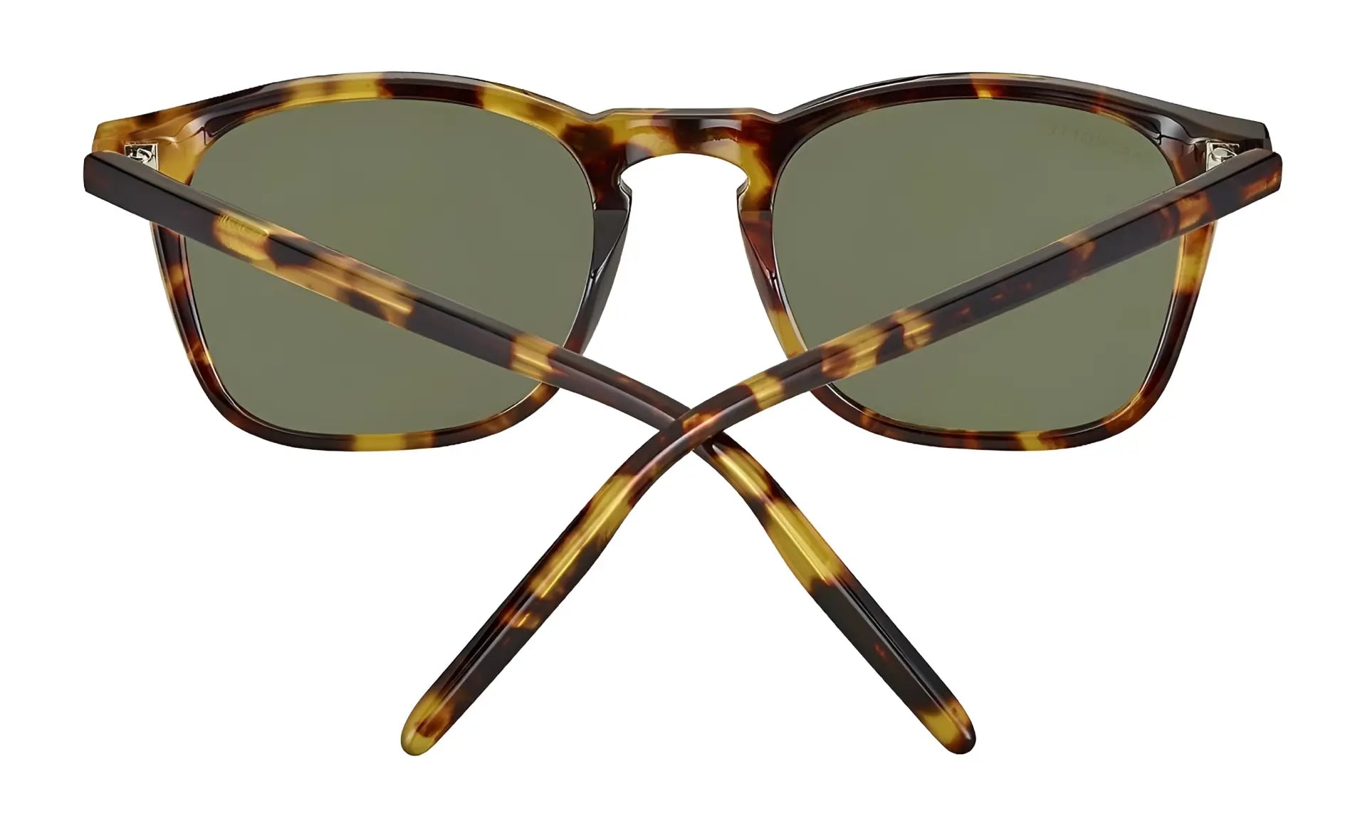 Serengeti_SS021004_Delio_Shiny_Tortoise_Green_Polarised_4