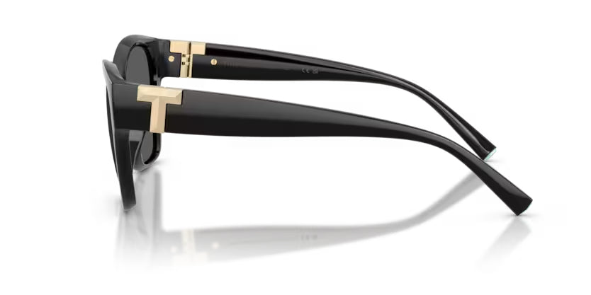 Tiffany & Co. | 4254U | Black