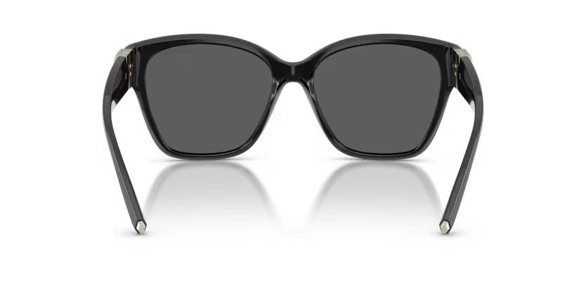 Tiffany & Co. | 4254U | Black