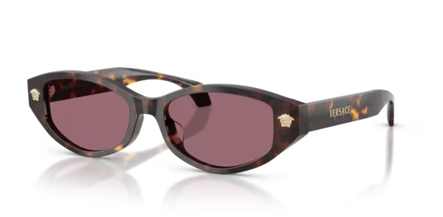 Versace | 4512D | Havana Violet