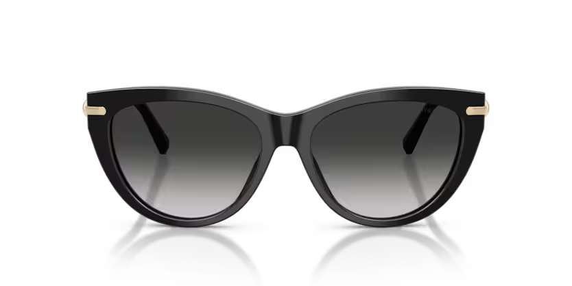 Tiffany & Co. | 4253F | Black With Grey Gradient