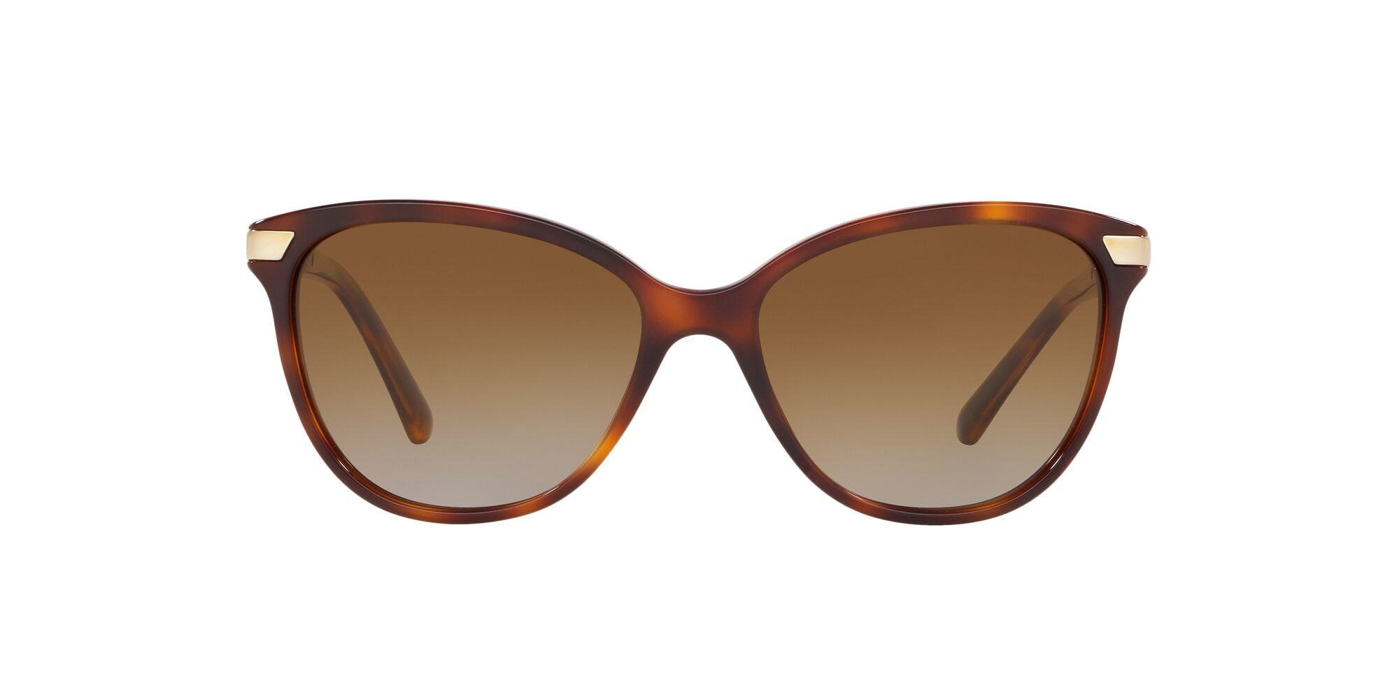 Burberry | 4216 | Light Havana Polarised