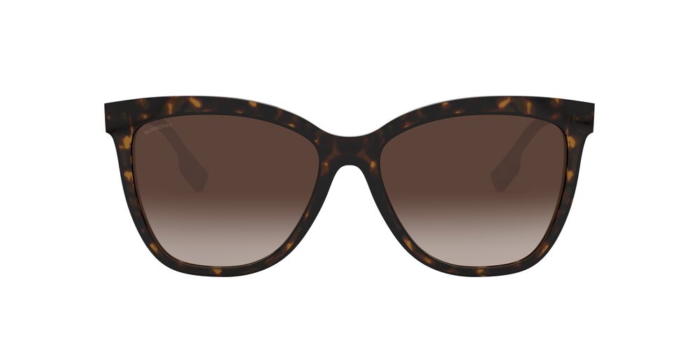 Burberry | 4308F | Dark Havana